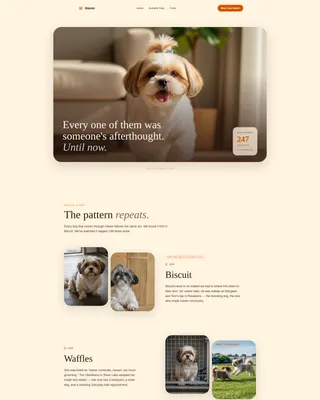 Shih Tzu Rescue & Adoption Landing Page Template