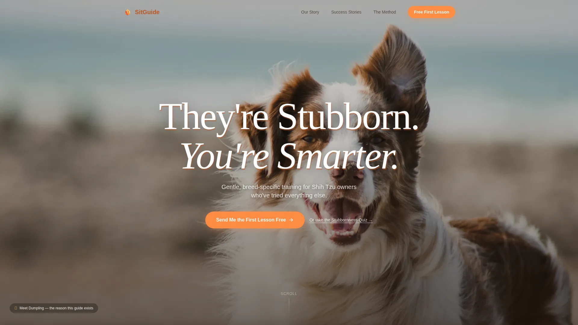 Shih Tzu Training Landing Page Template