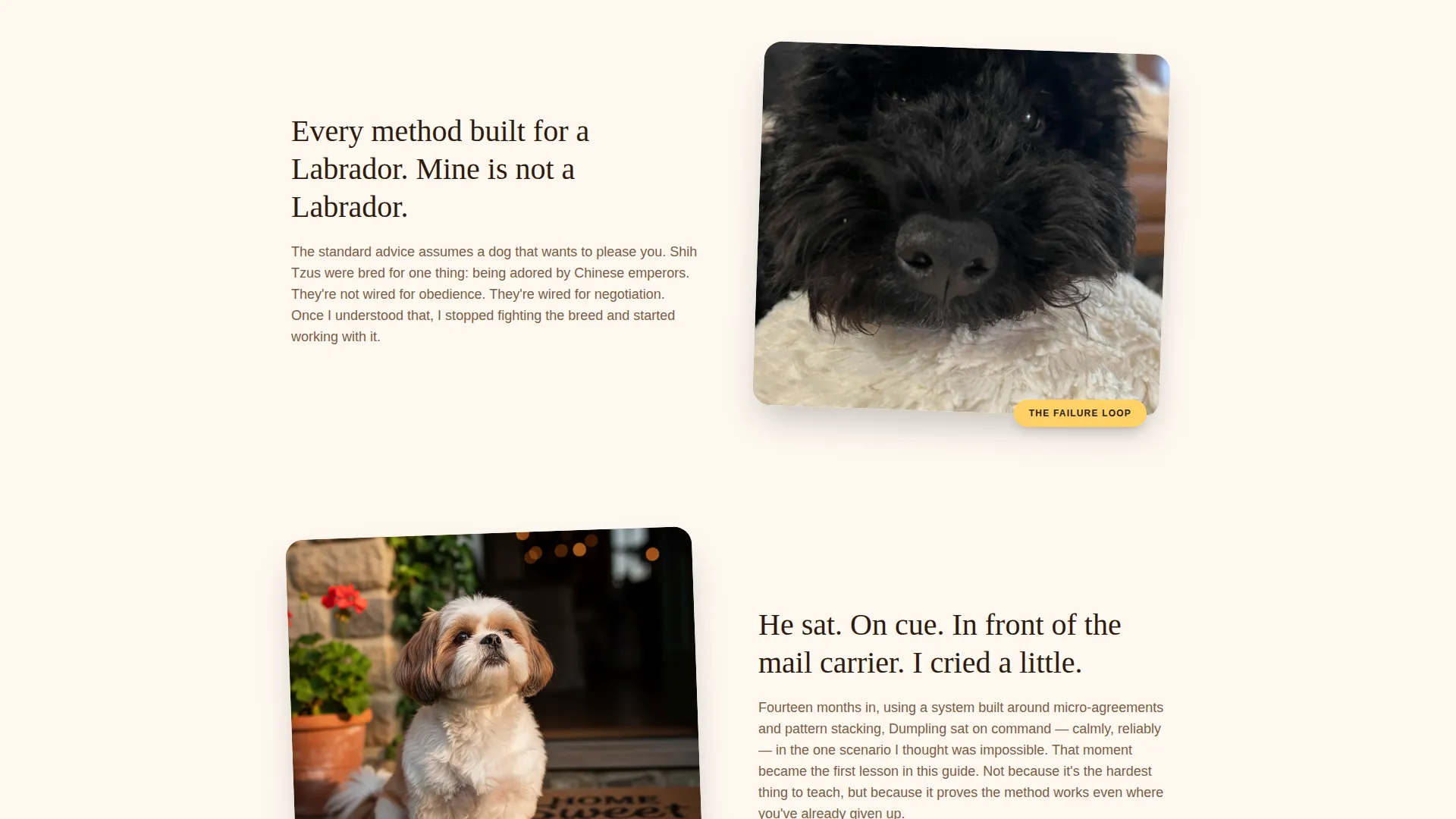 Shih Tzu Training Landing Page Template