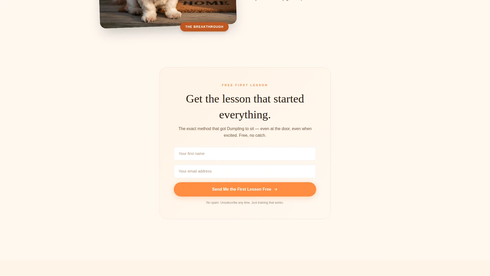 Shih Tzu Training Landing Page Template