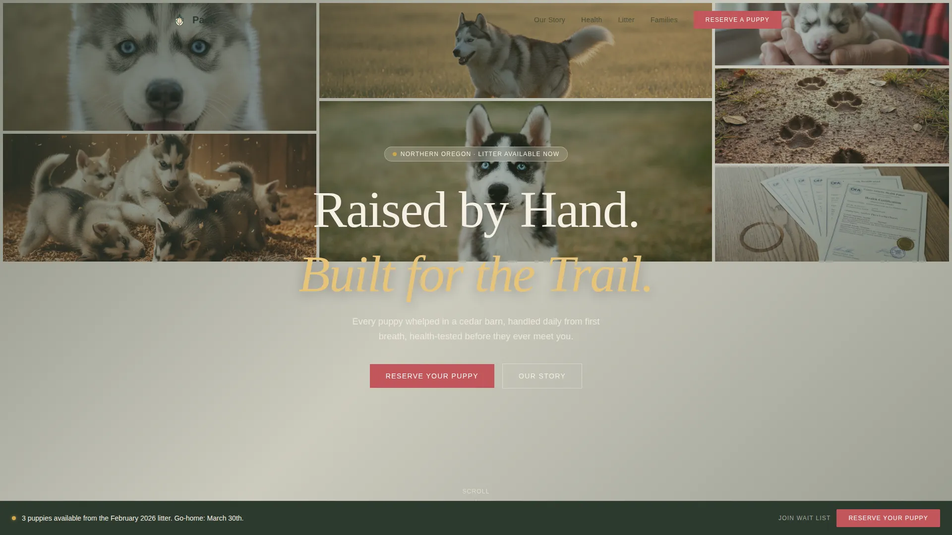 Artisan Siberian Husky Breeder Landing Page Template