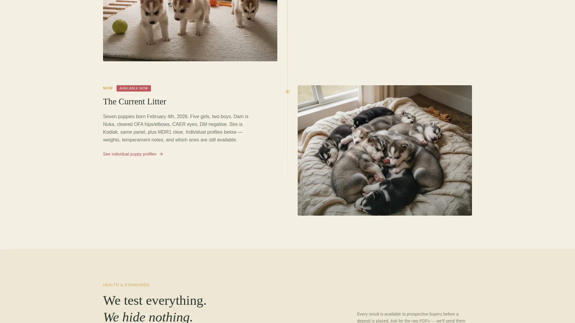 Artisan Siberian Husky Breeder Landing Page Template