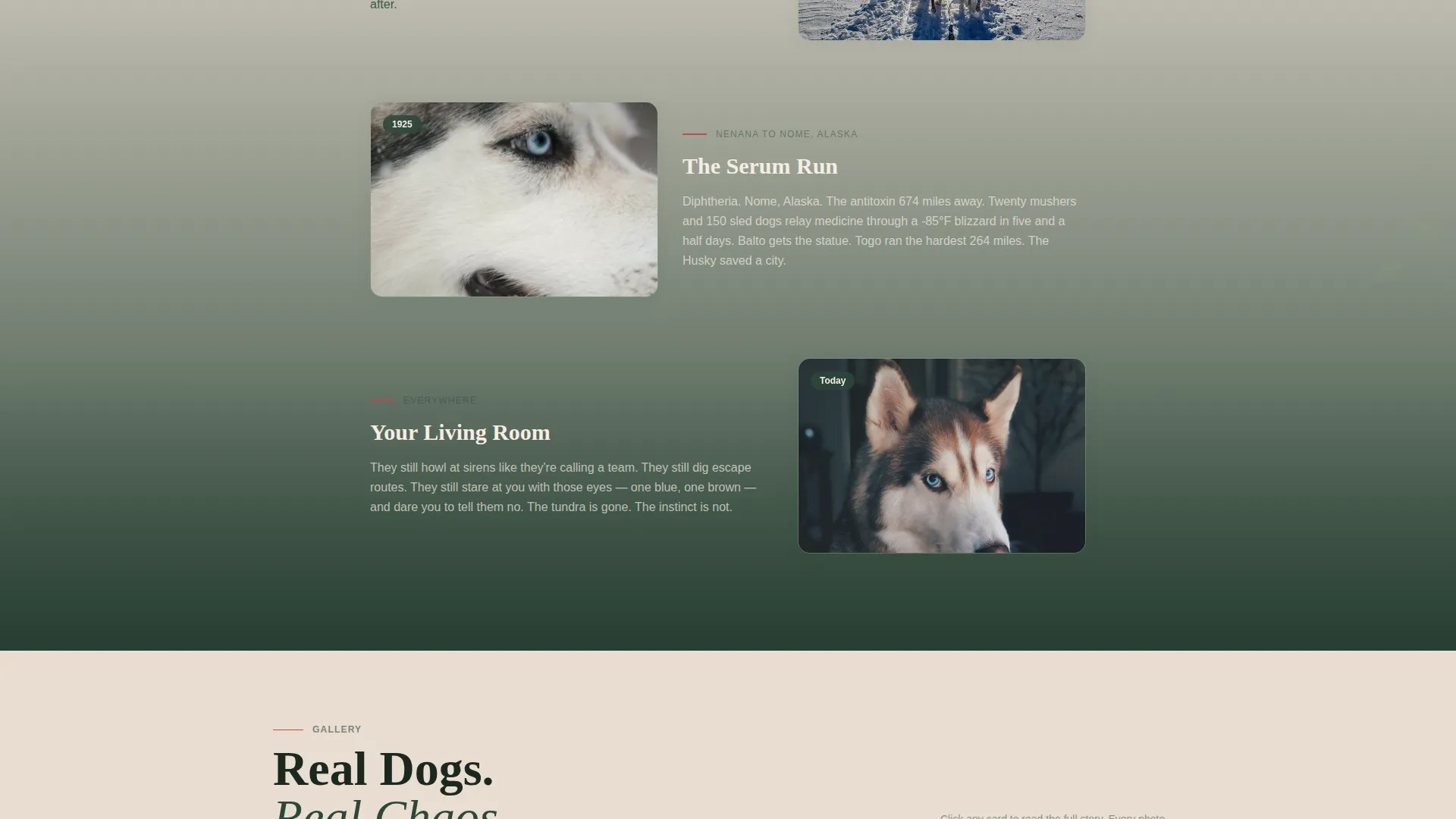Siberian Husky Community Landing Page Template