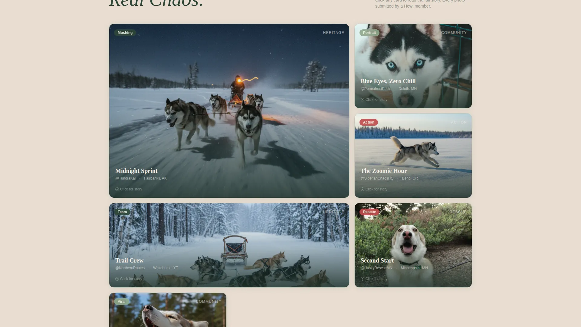 Siberian Husky Community Landing Page Template