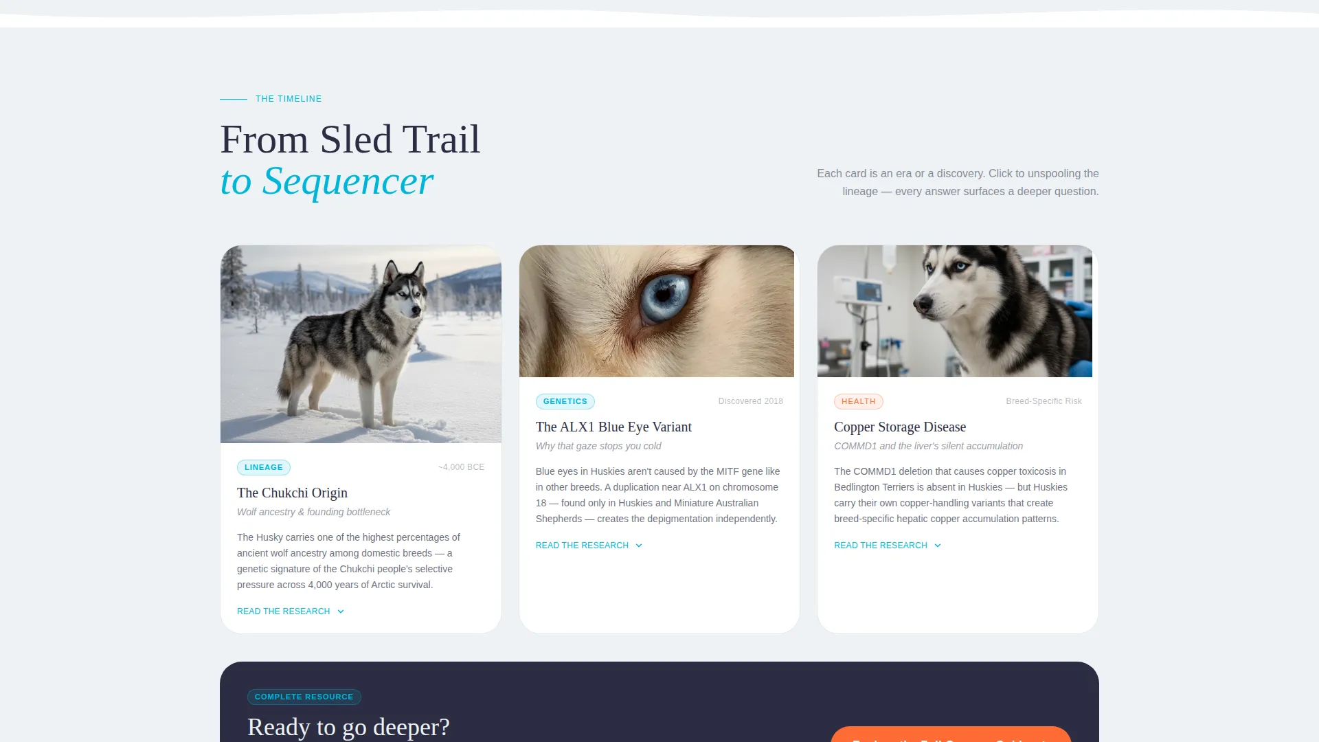 Siberian Husky Health & Genetics Blog Landing Page