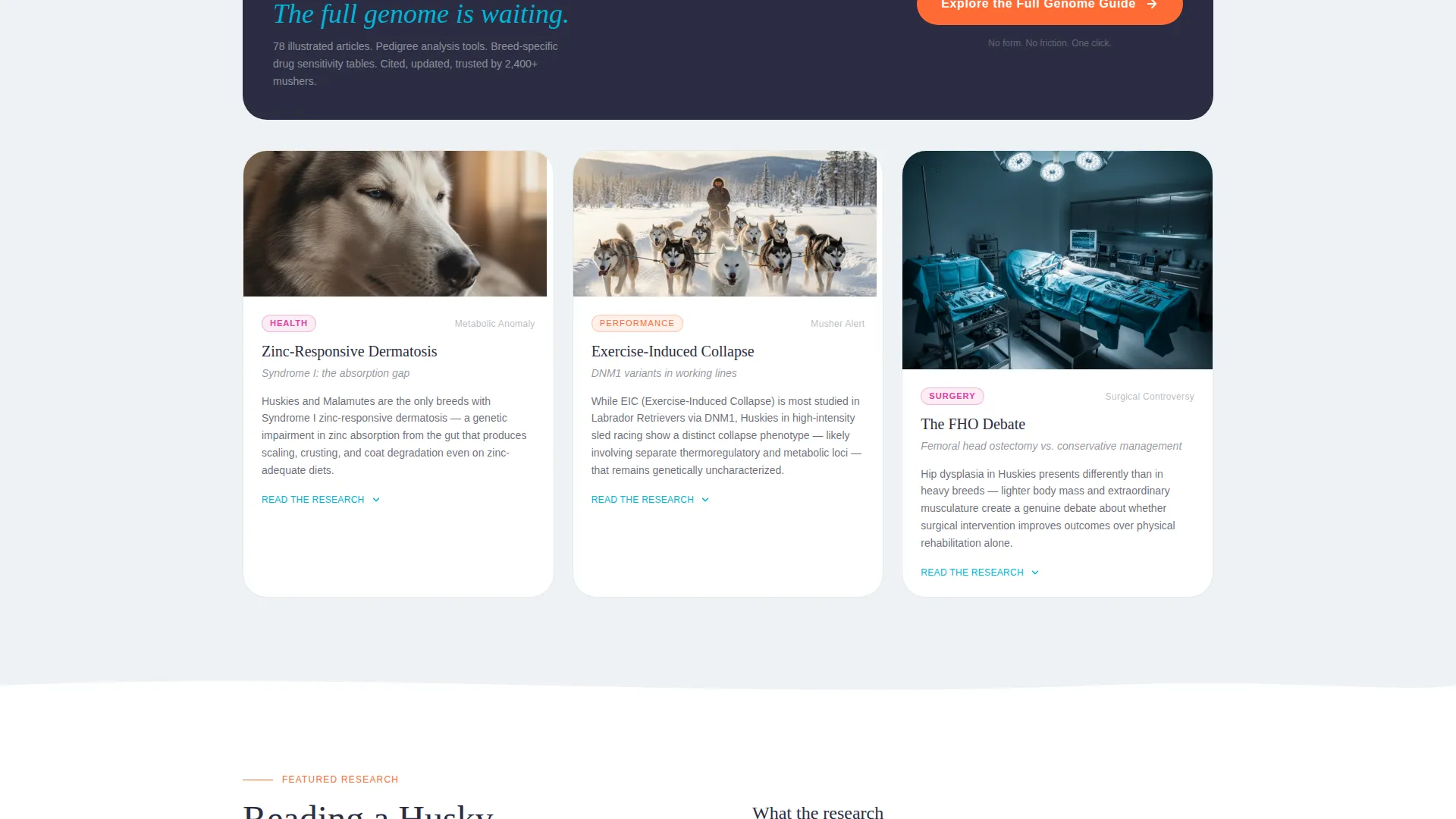 Siberian Husky Health & Genetics Blog Landing Page