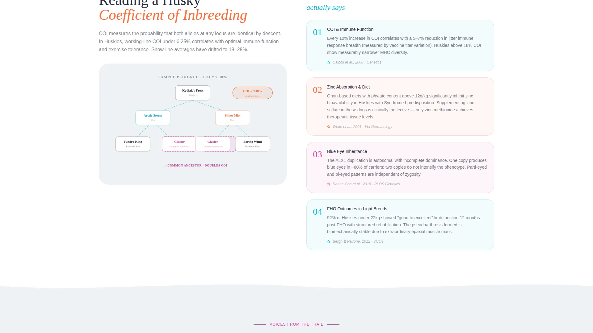 Siberian Husky Health & Genetics Blog Landing Page