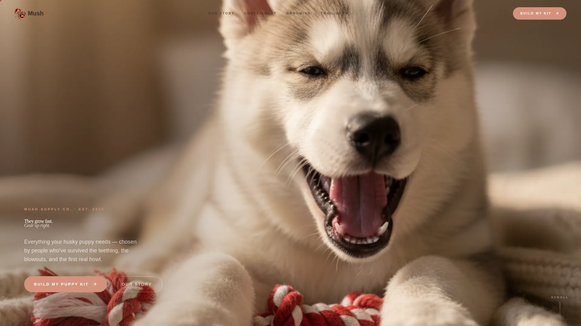 Siberian Husky Puppy Supplies Landing Page Template
