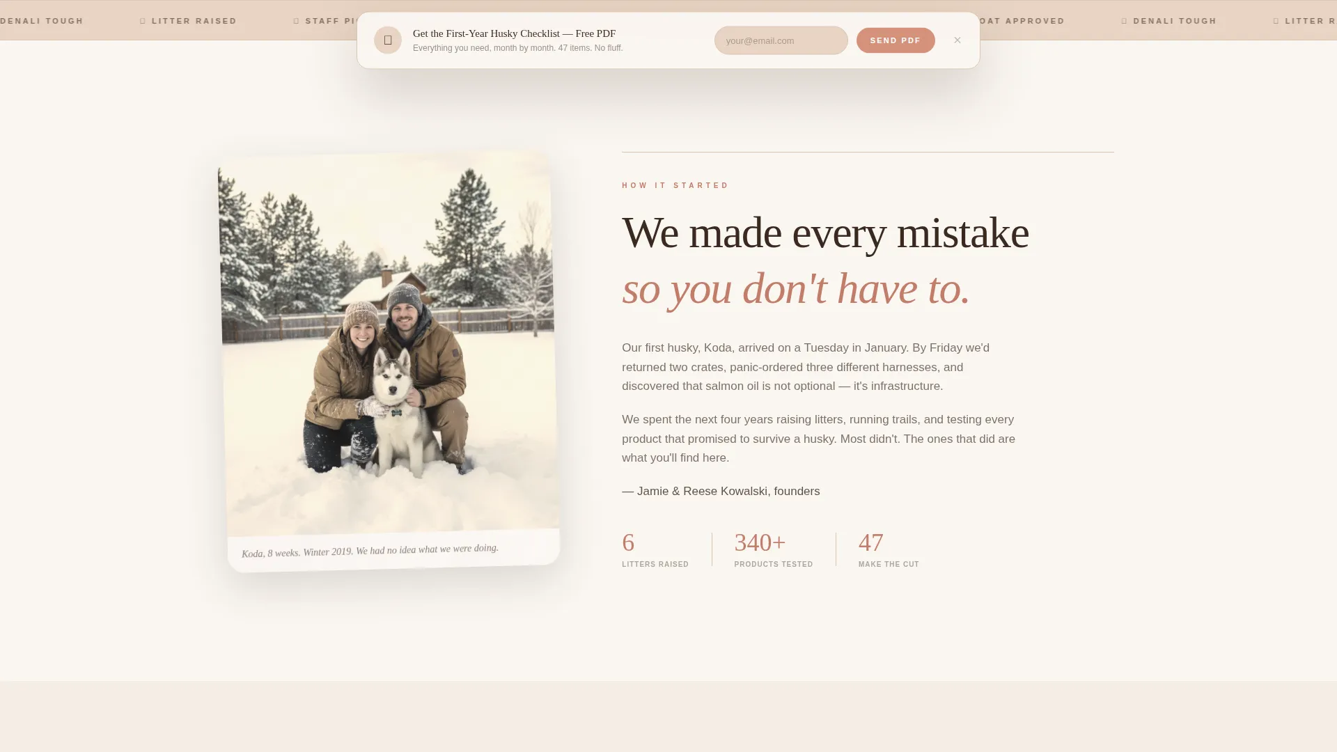 Siberian Husky Puppy Supplies Landing Page Template