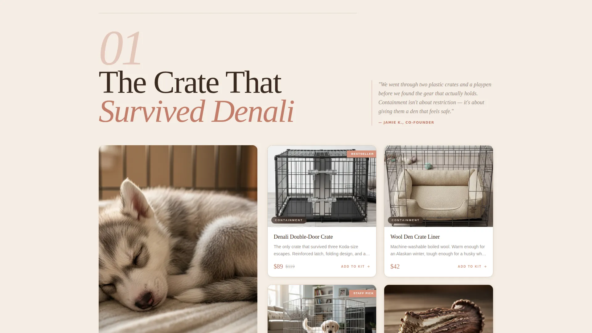 Siberian Husky Puppy Supplies Landing Page Template