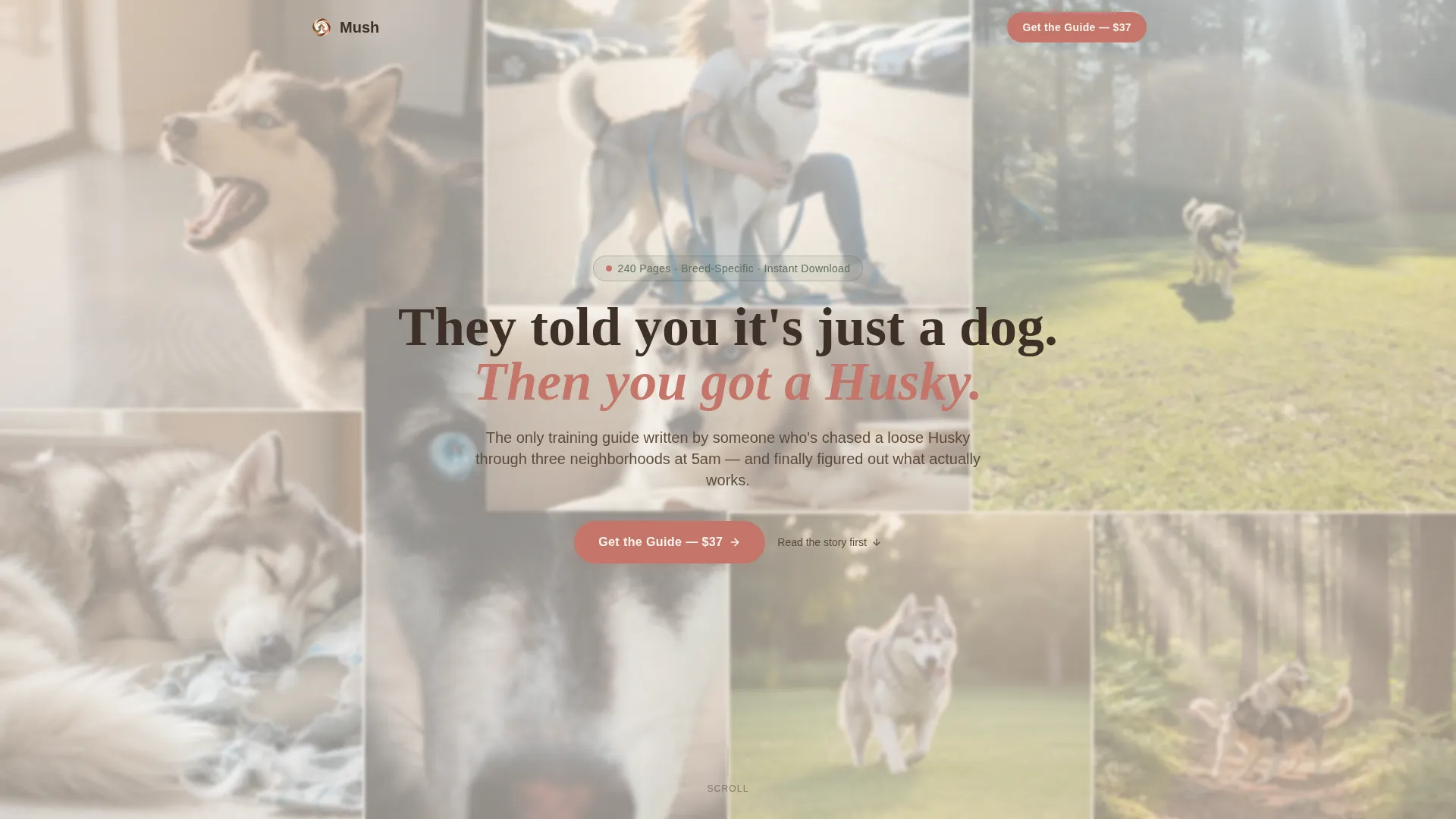 Siberian Husky Training Guide Landing Page Template