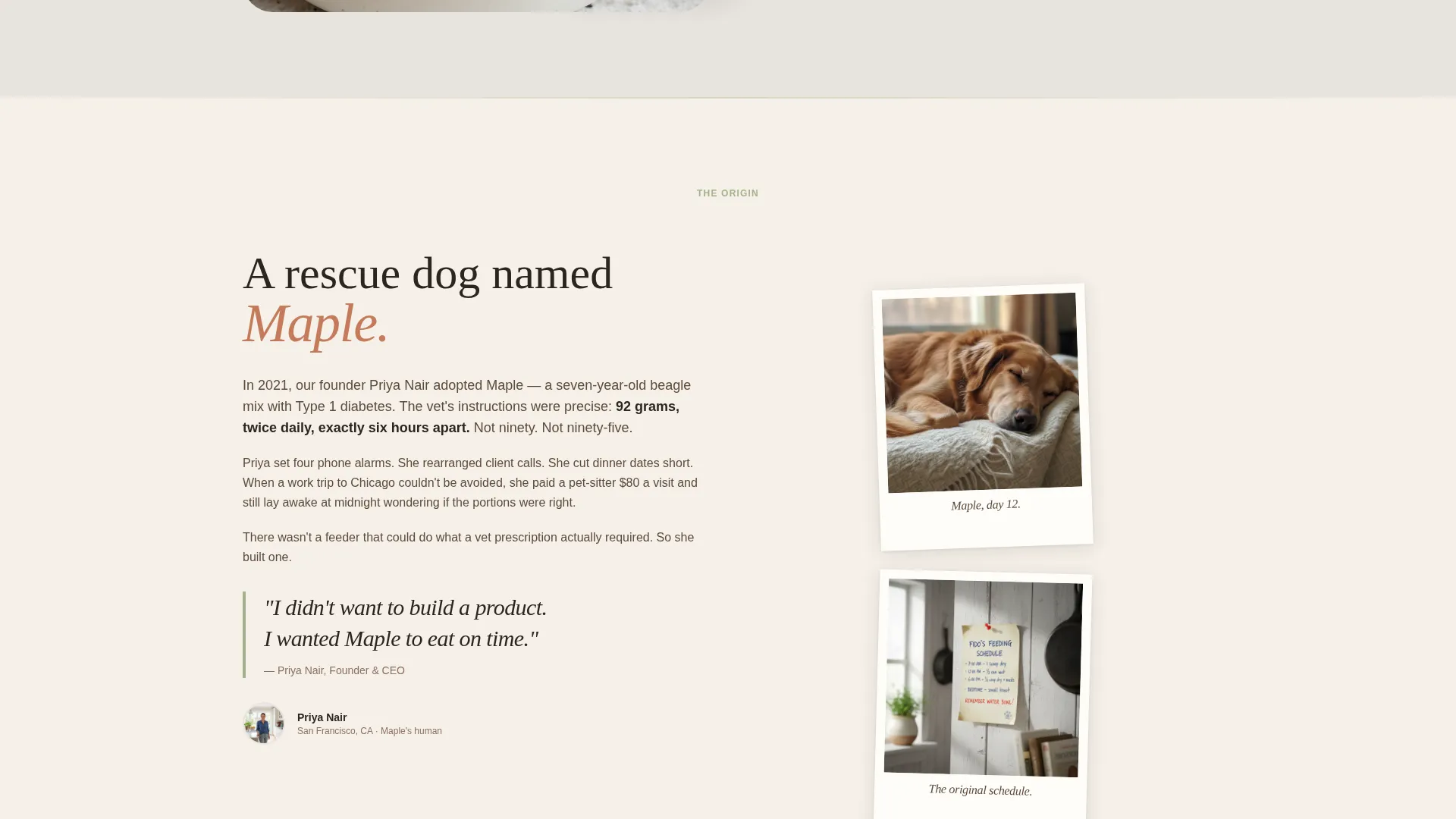 Smart Pet Feeder Landing Page Template