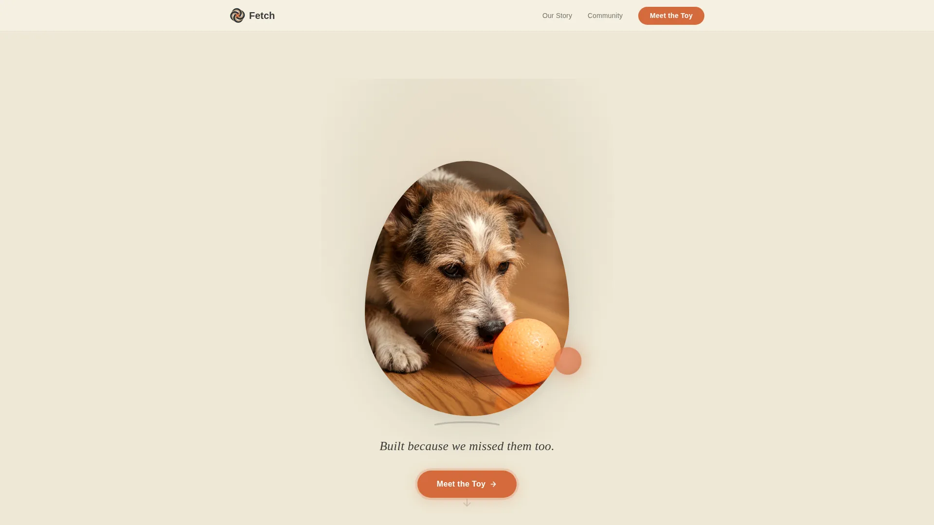 Smart Pet Toy Landing Page Template