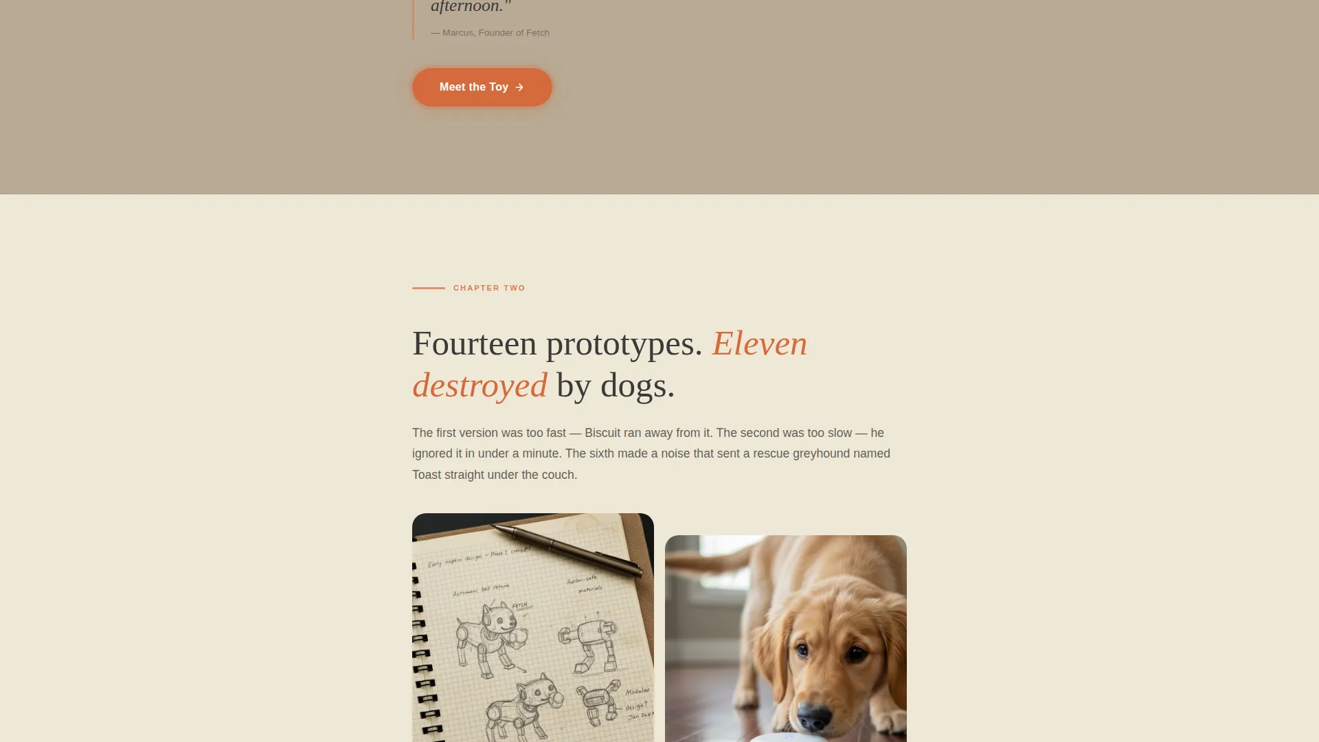 Smart Pet Toy Landing Page Template