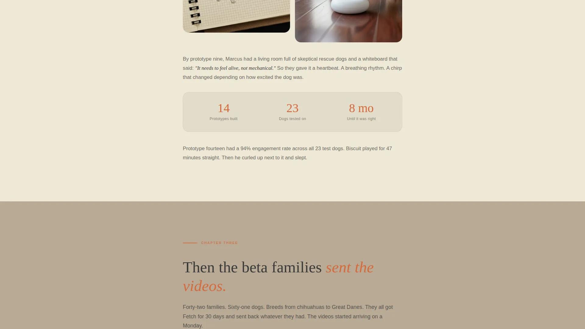 Smart Pet Toy Landing Page Template