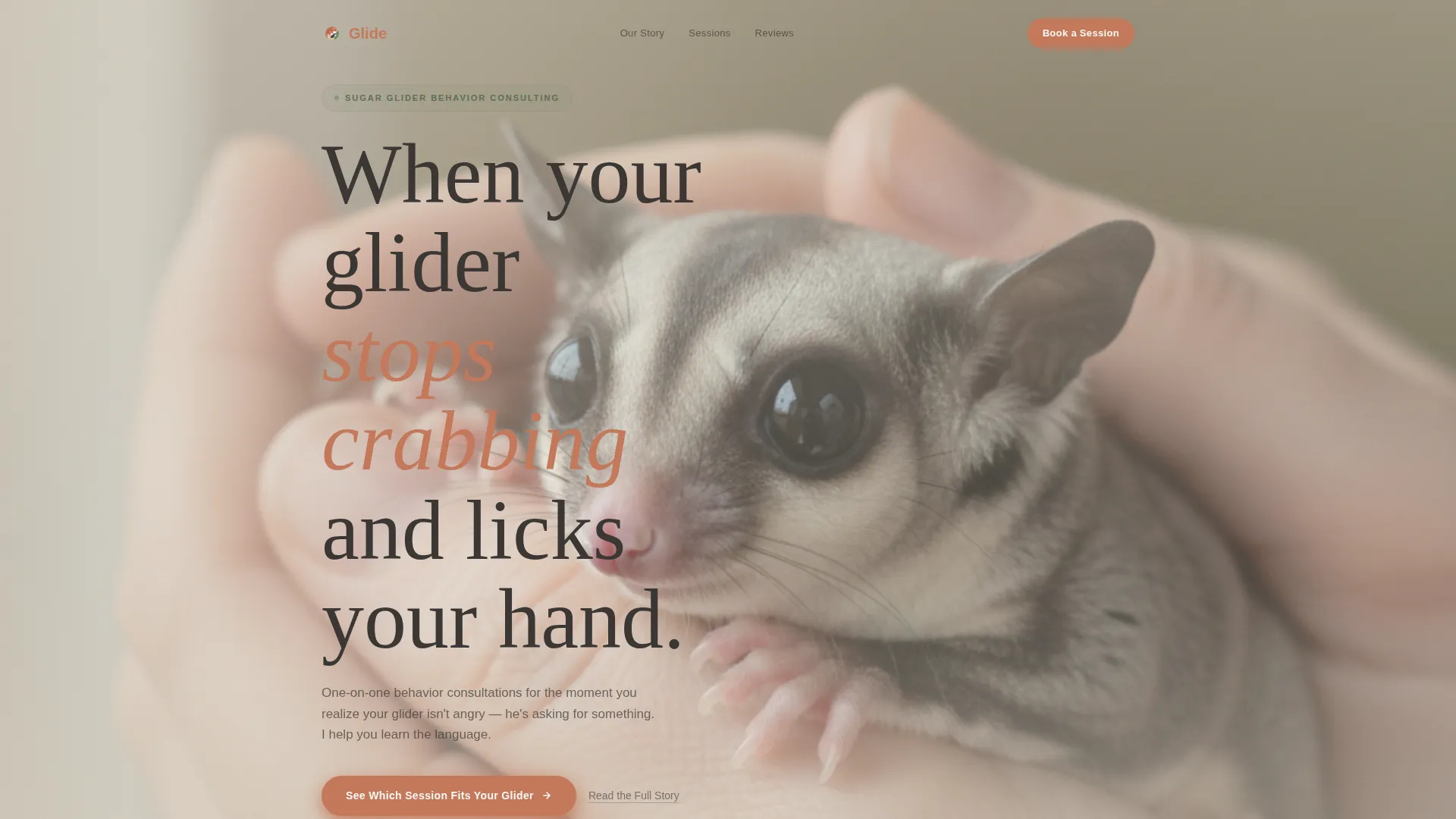 Sugar Glider Behavior Consultant Landing Page Template