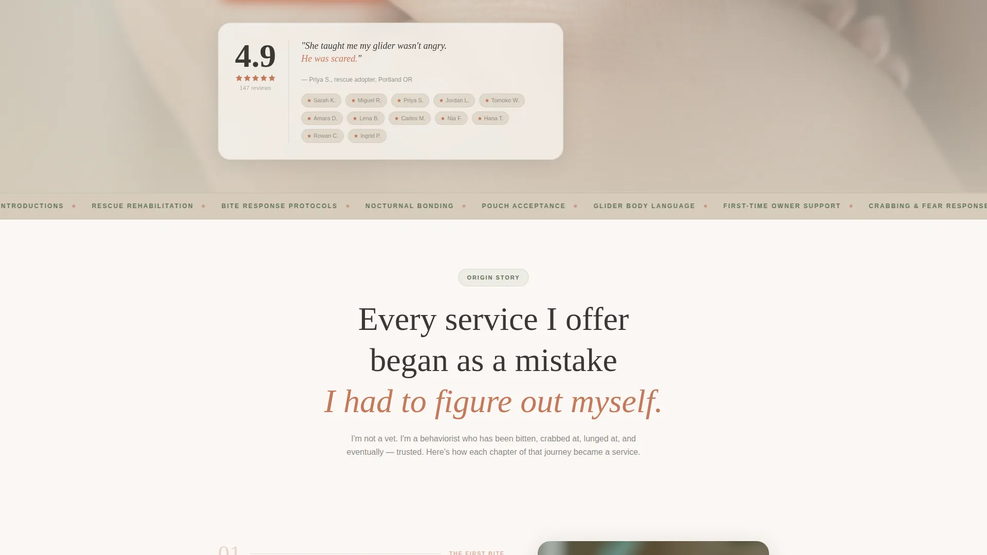 Sugar Glider Behavior Consultant Landing Page Template