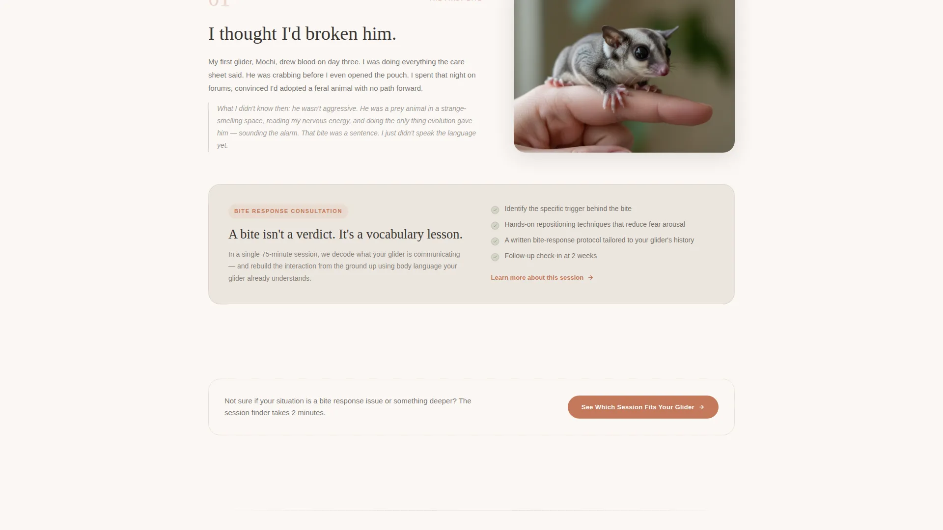 Sugar Glider Behavior Consultant Landing Page Template