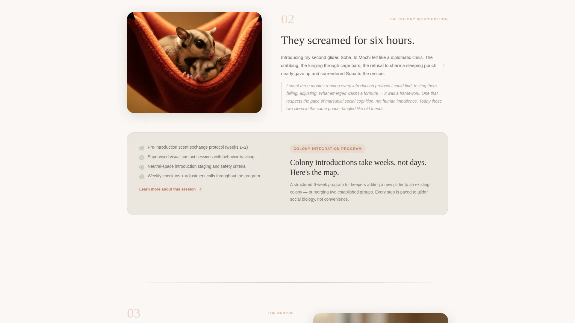 Sugar Glider Behavior Consultant Landing Page Template