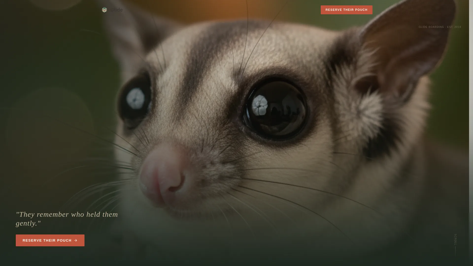 Sugar Glider Boarding Landing Page Template