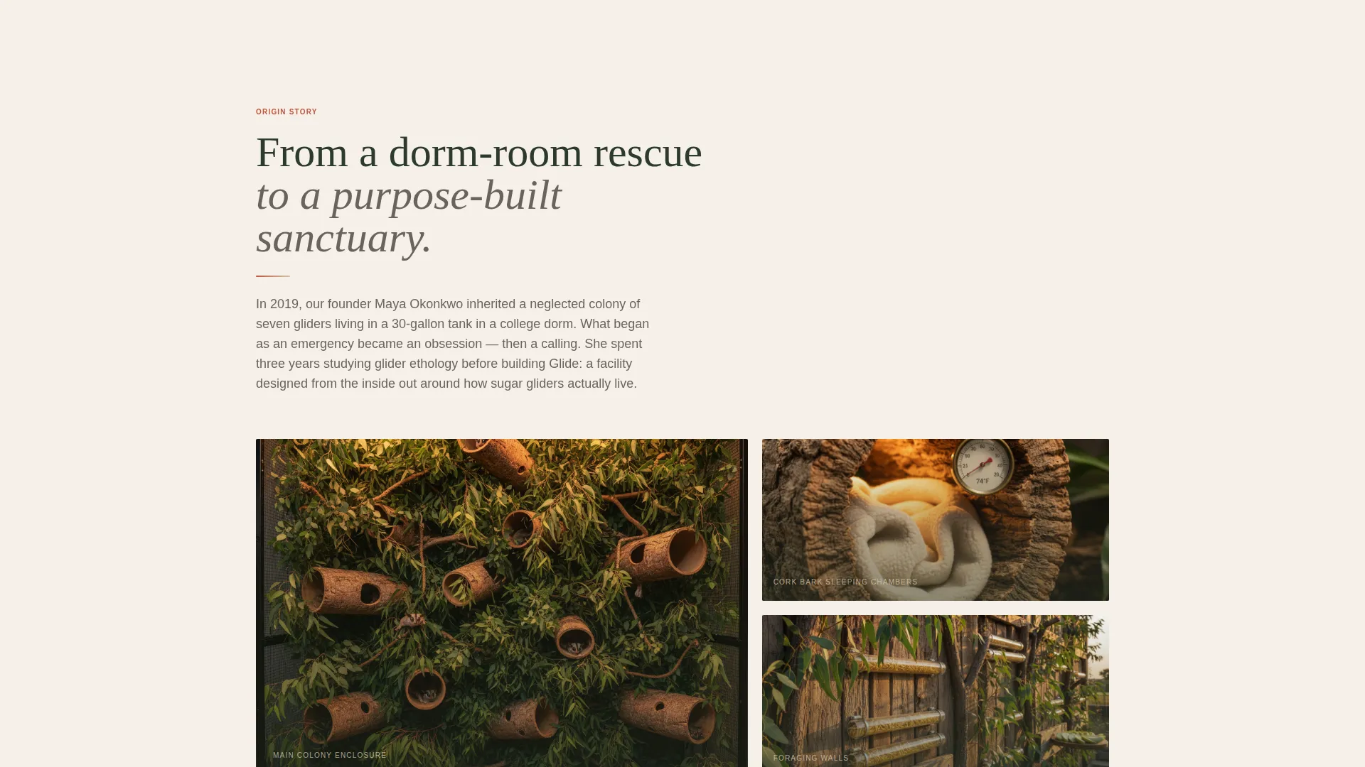Sugar Glider Boarding Landing Page Template