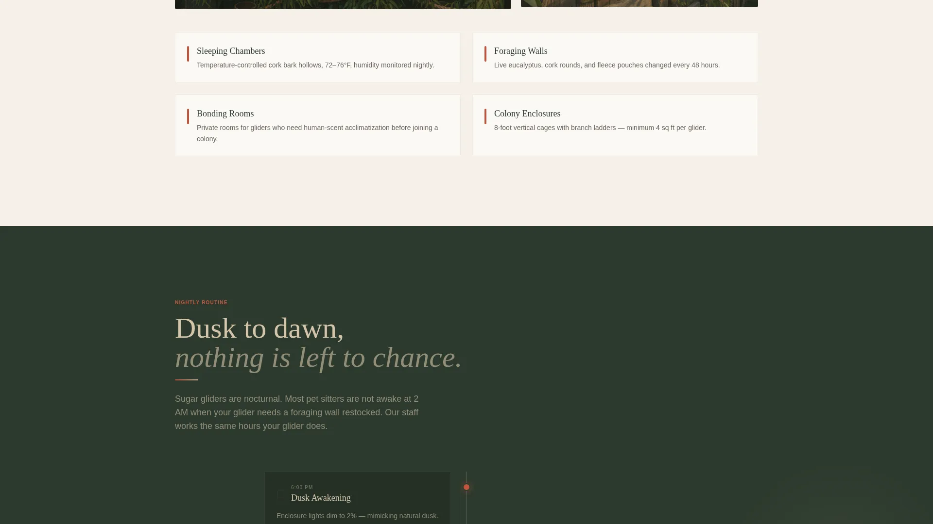 Sugar Glider Boarding Landing Page Template