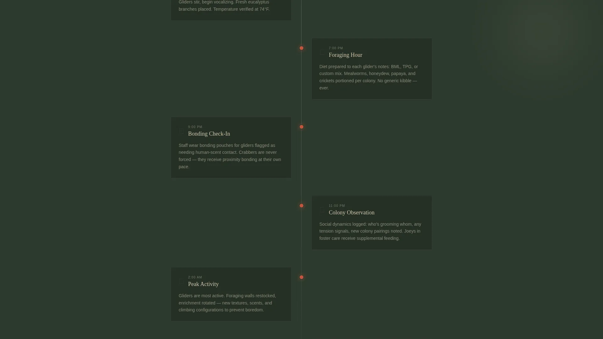 Sugar Glider Boarding Landing Page Template