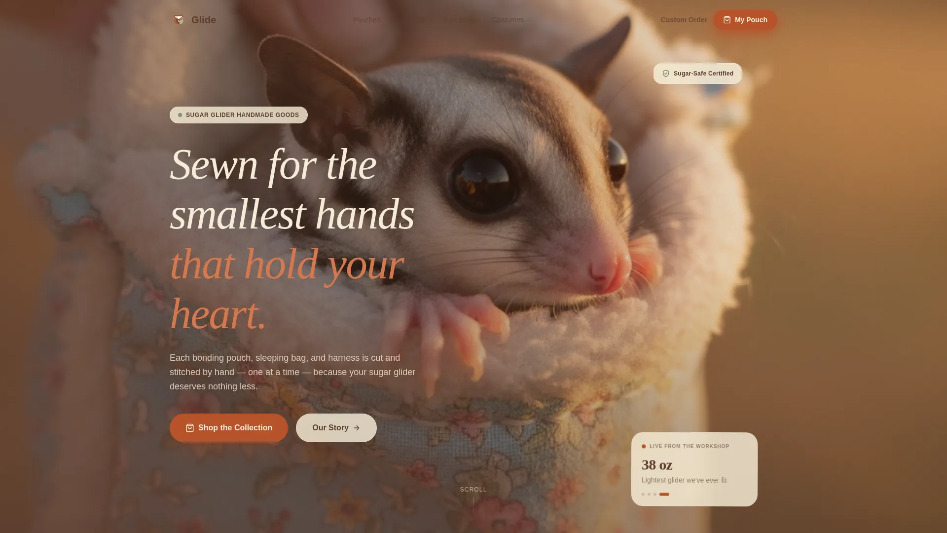 Handcrafted Sugar Glider Accessories Landing Page Template