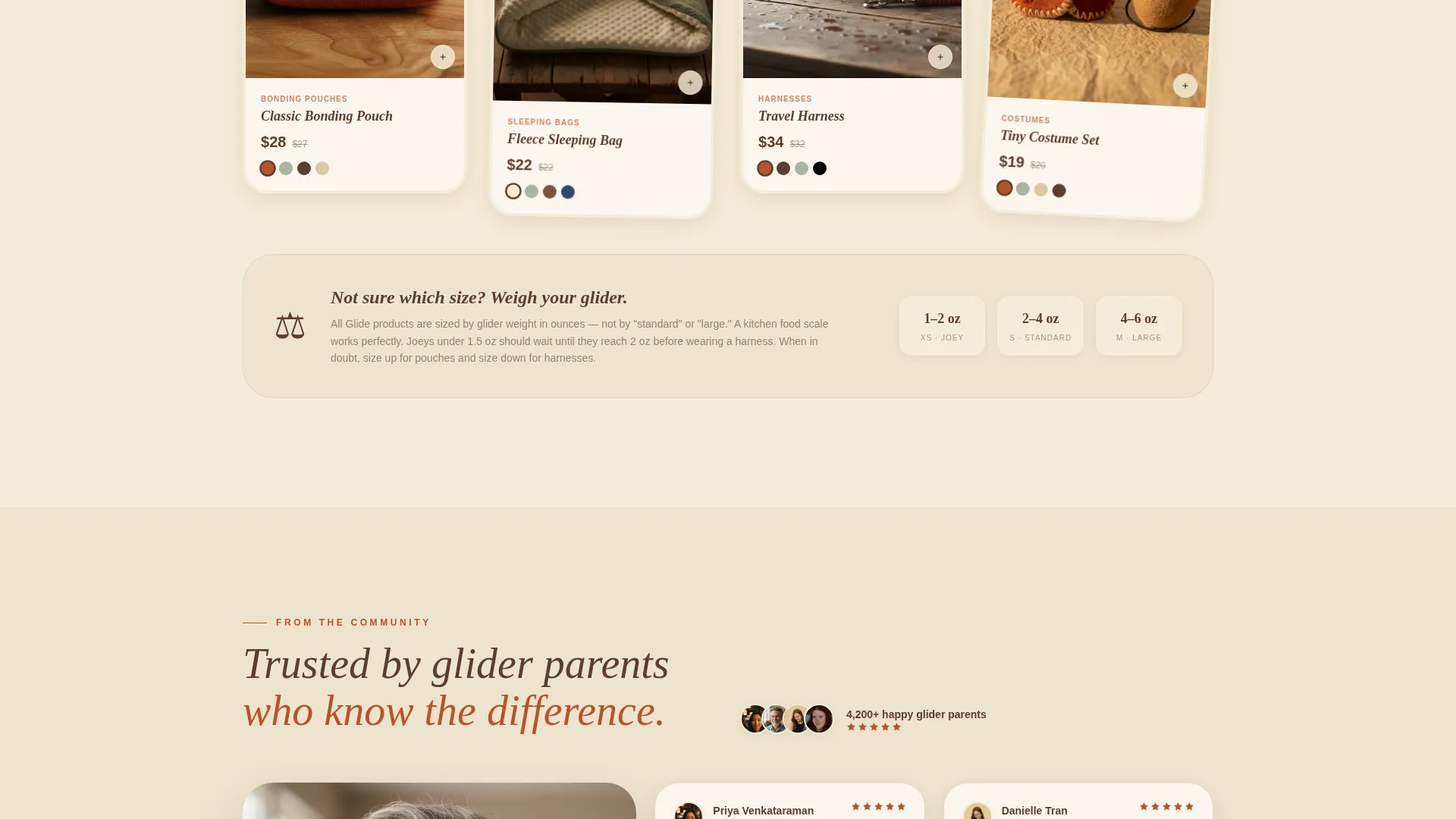 Handcrafted Sugar Glider Accessories Landing Page Template