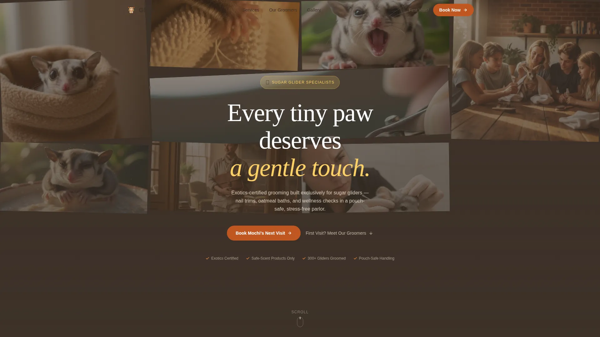 Sugar Glider Grooming Landing Page Template