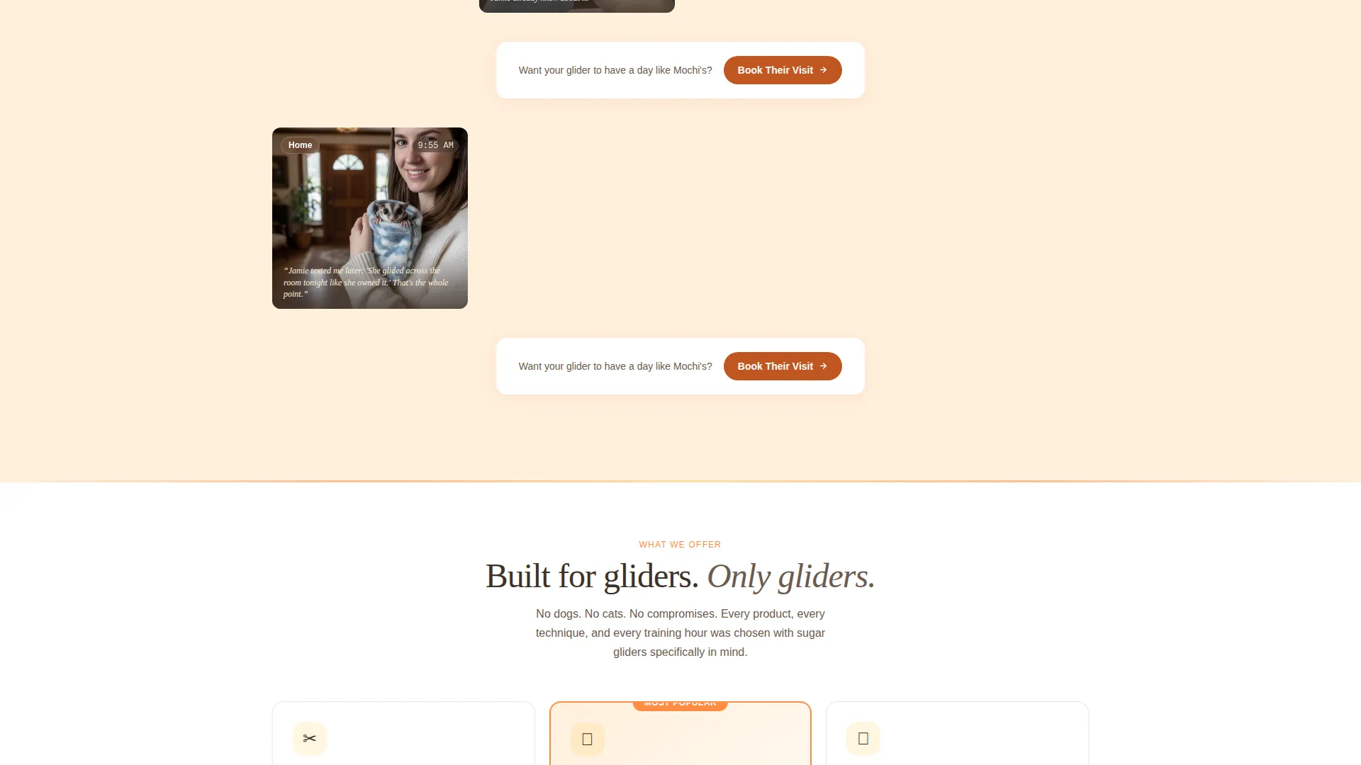 Sugar Glider Grooming Landing Page Template
