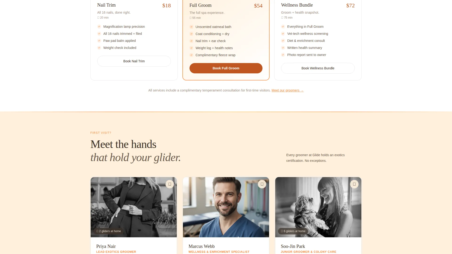 Sugar Glider Grooming Landing Page Template