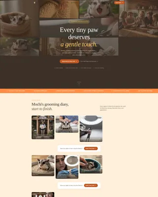 Sugar Glider Grooming Landing Page Template