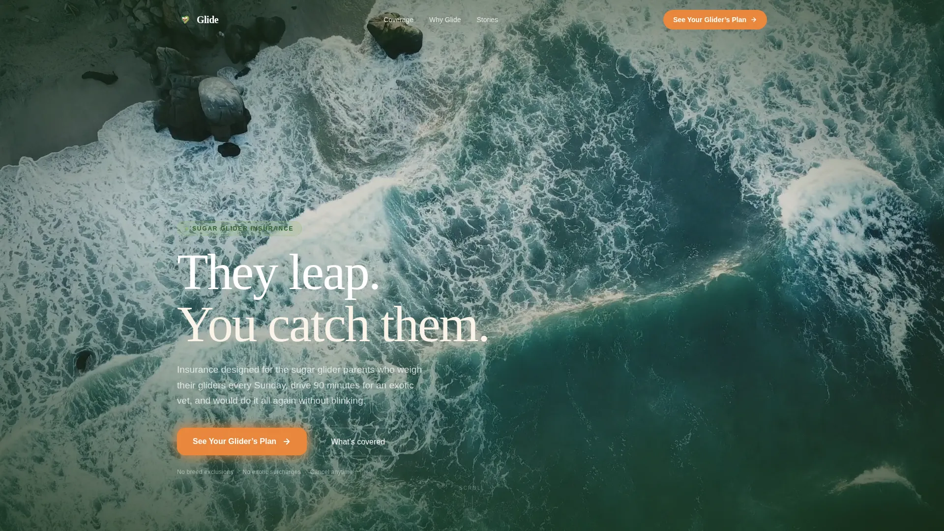 Sugar Glider Insurance Landing Page Template