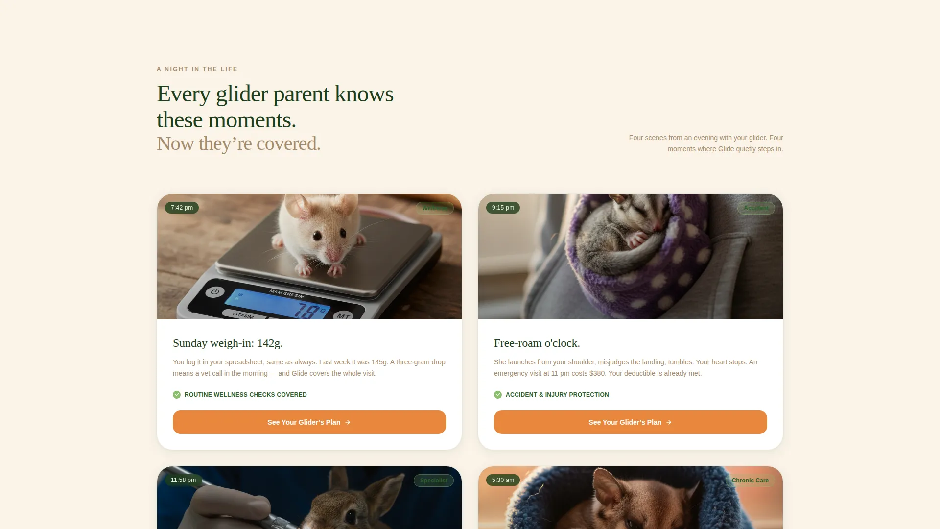 Sugar Glider Insurance Landing Page Template