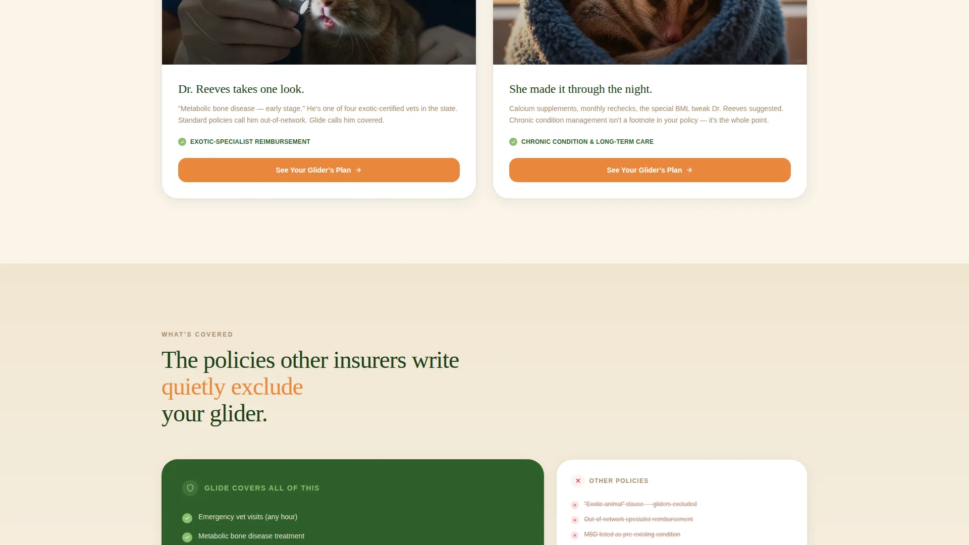 Sugar Glider Insurance Landing Page Template