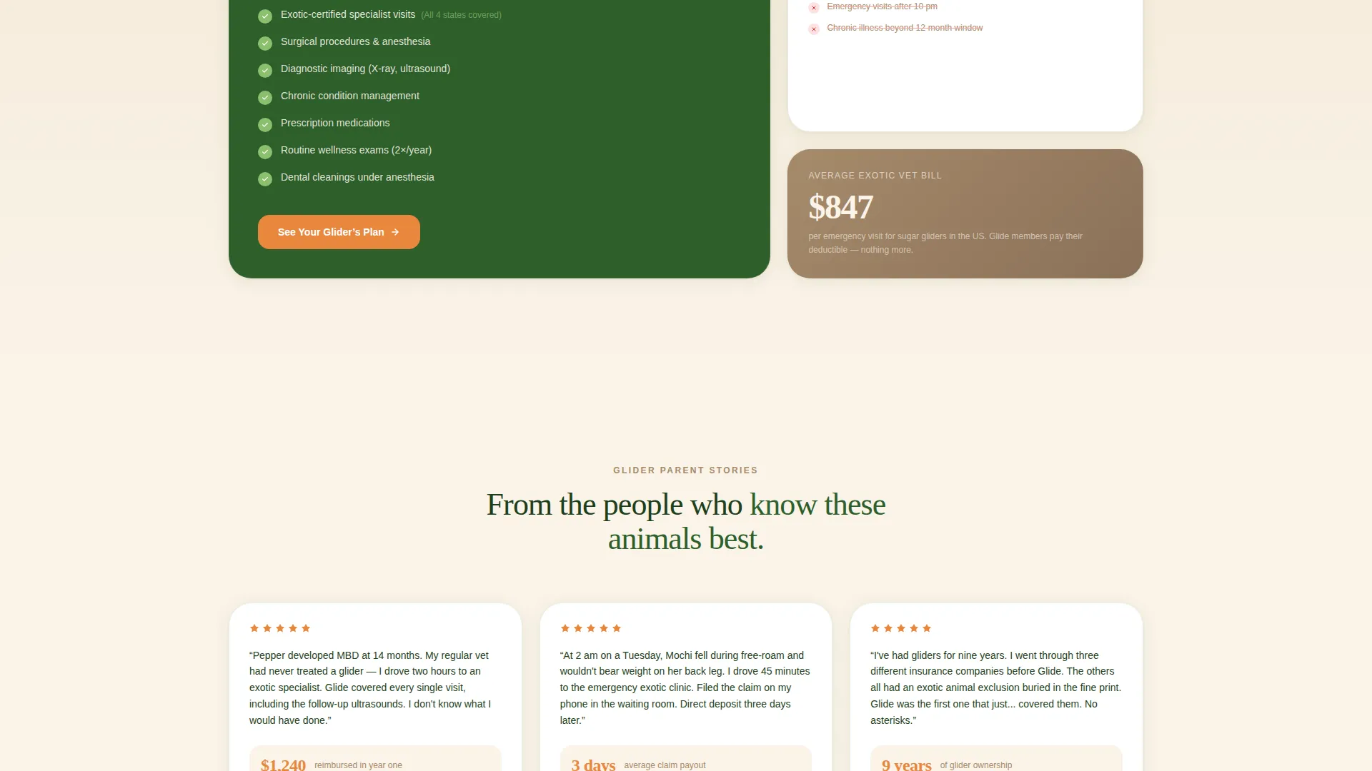Sugar Glider Insurance Landing Page Template