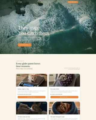 Sugar Glider Insurance Landing Page Template