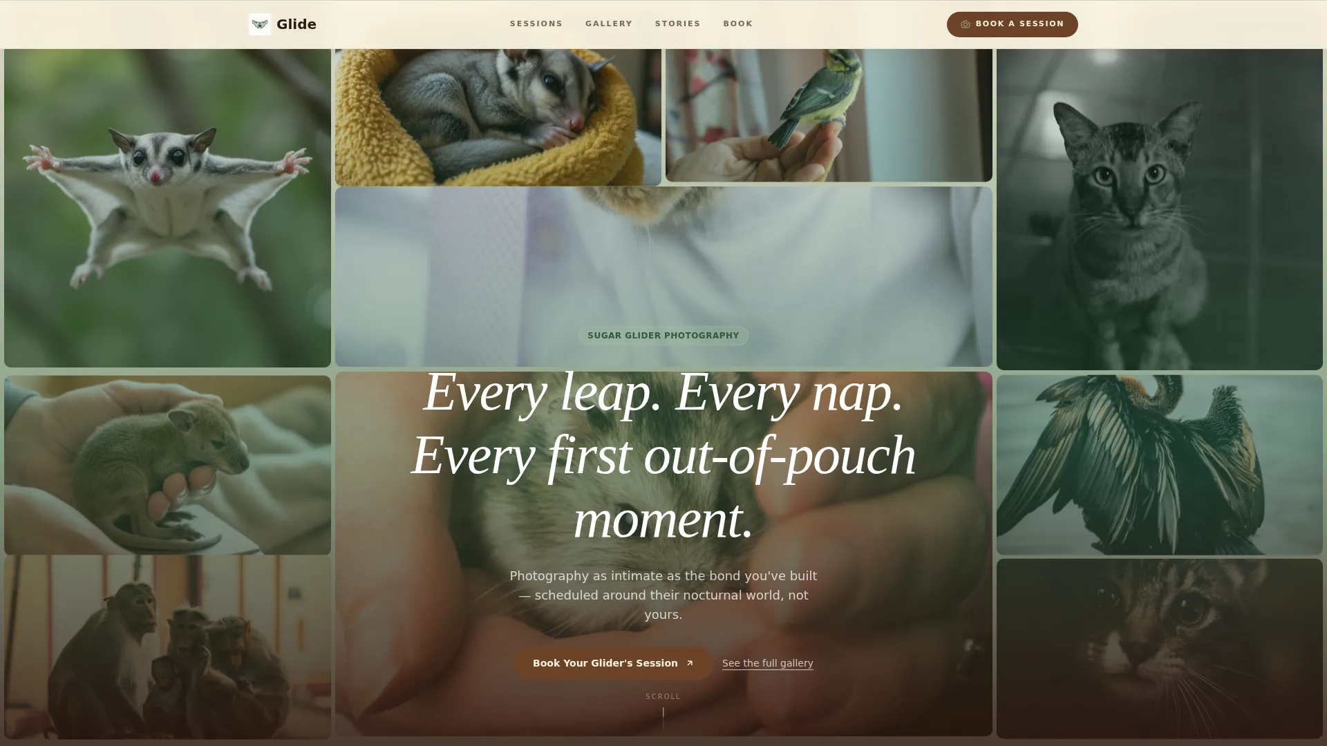 Sugar Glider Photography Landing Page Template