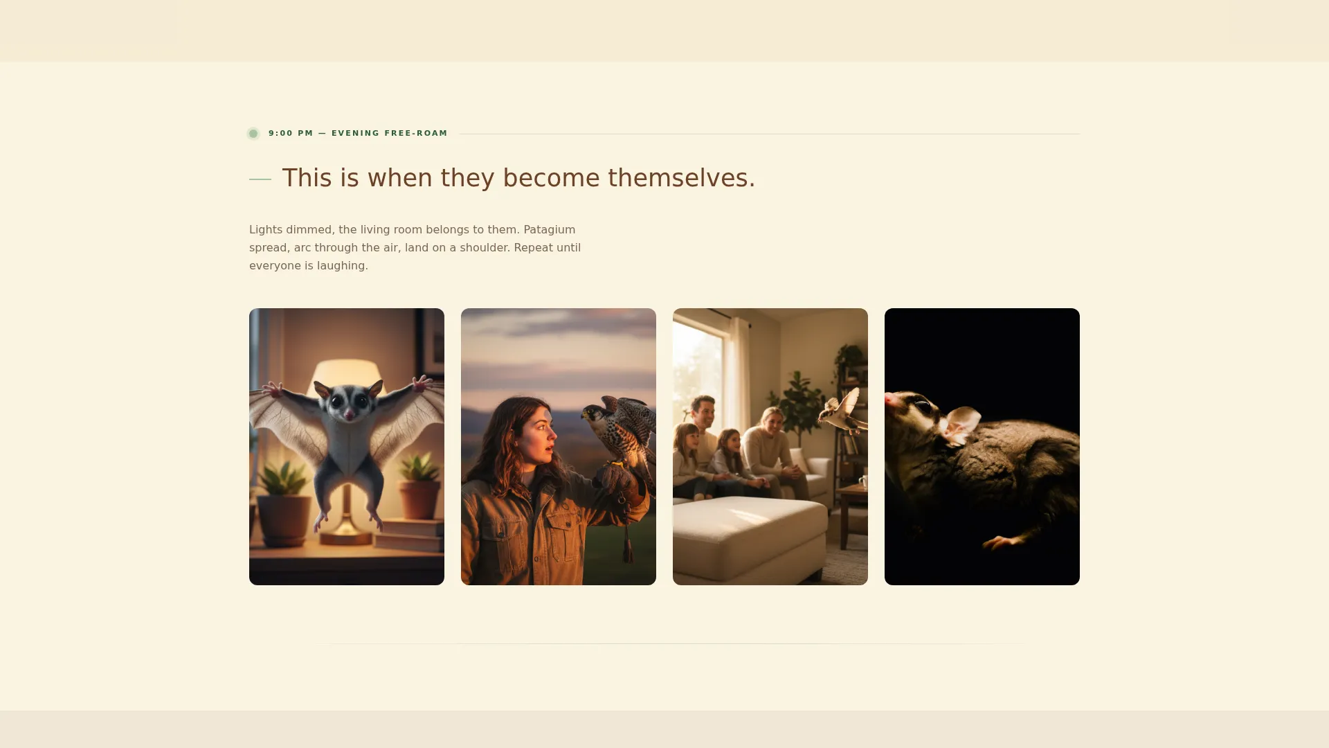 Sugar Glider Photography Landing Page Template