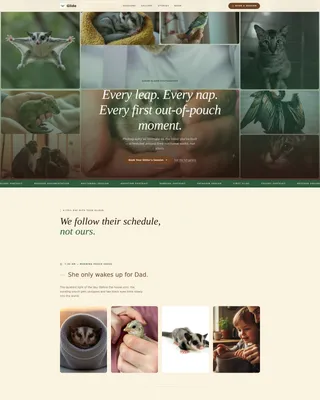 Sugar Glider Photography Landing Page Template