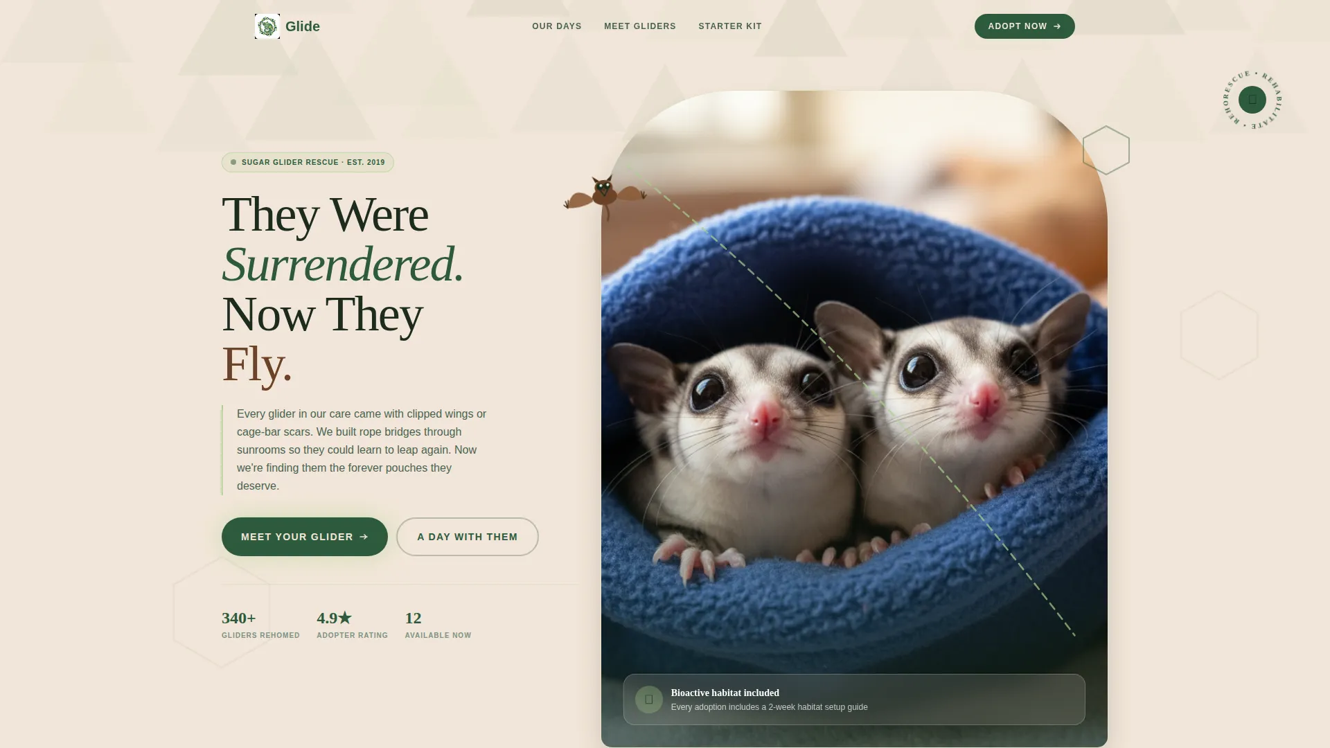 Sugar Glider Rescue Adoption Landing Page Template