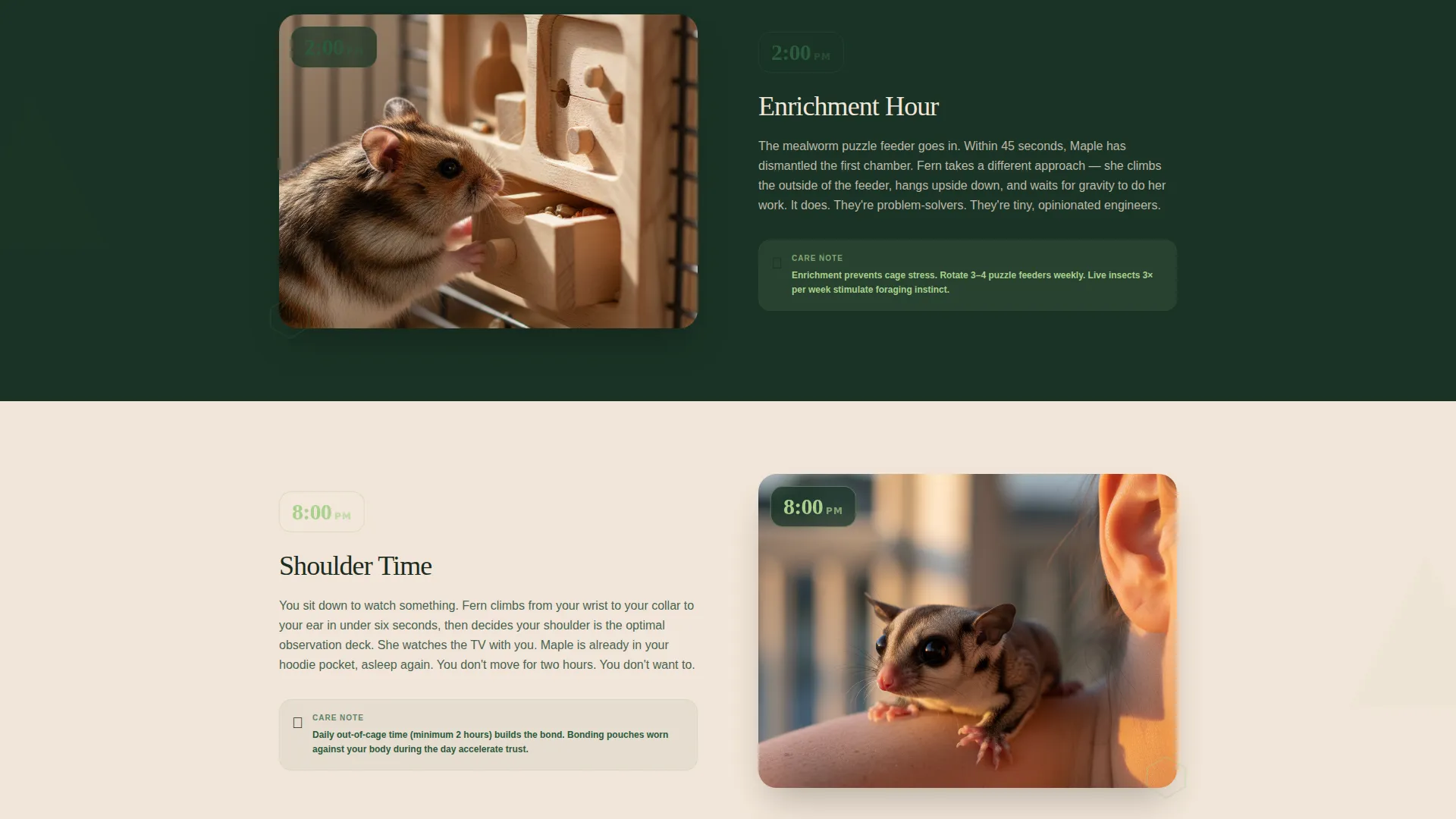 Sugar Glider Rescue Adoption Landing Page Template