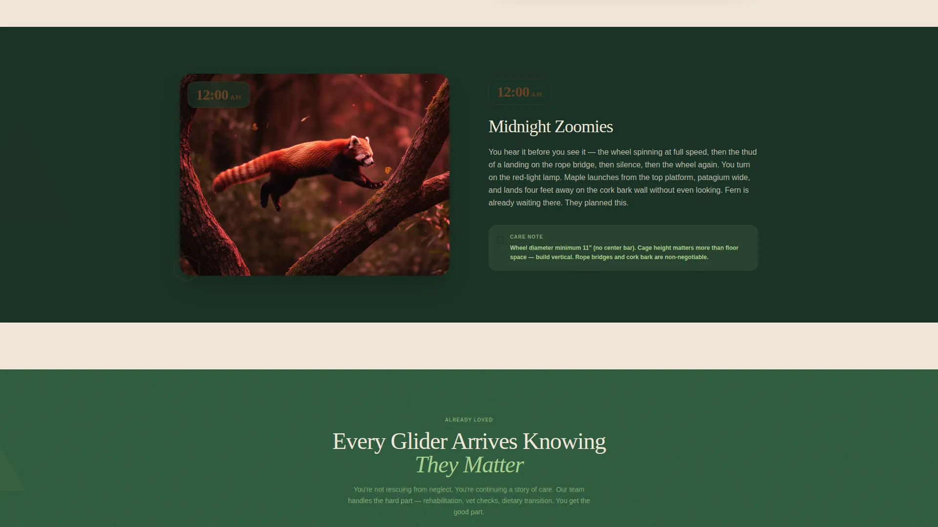 Sugar Glider Rescue Adoption Landing Page Template