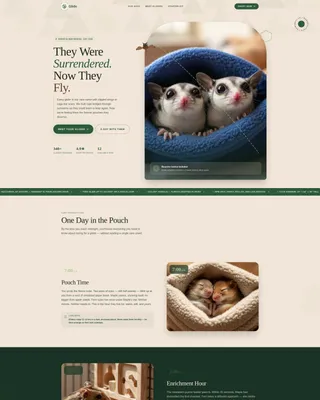 Sugar Glider Rescue Adoption Landing Page Template