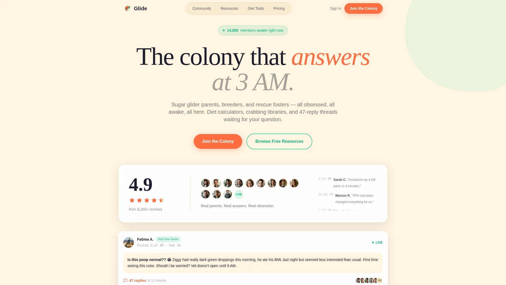 Sugar Glider Community Landing Page Template