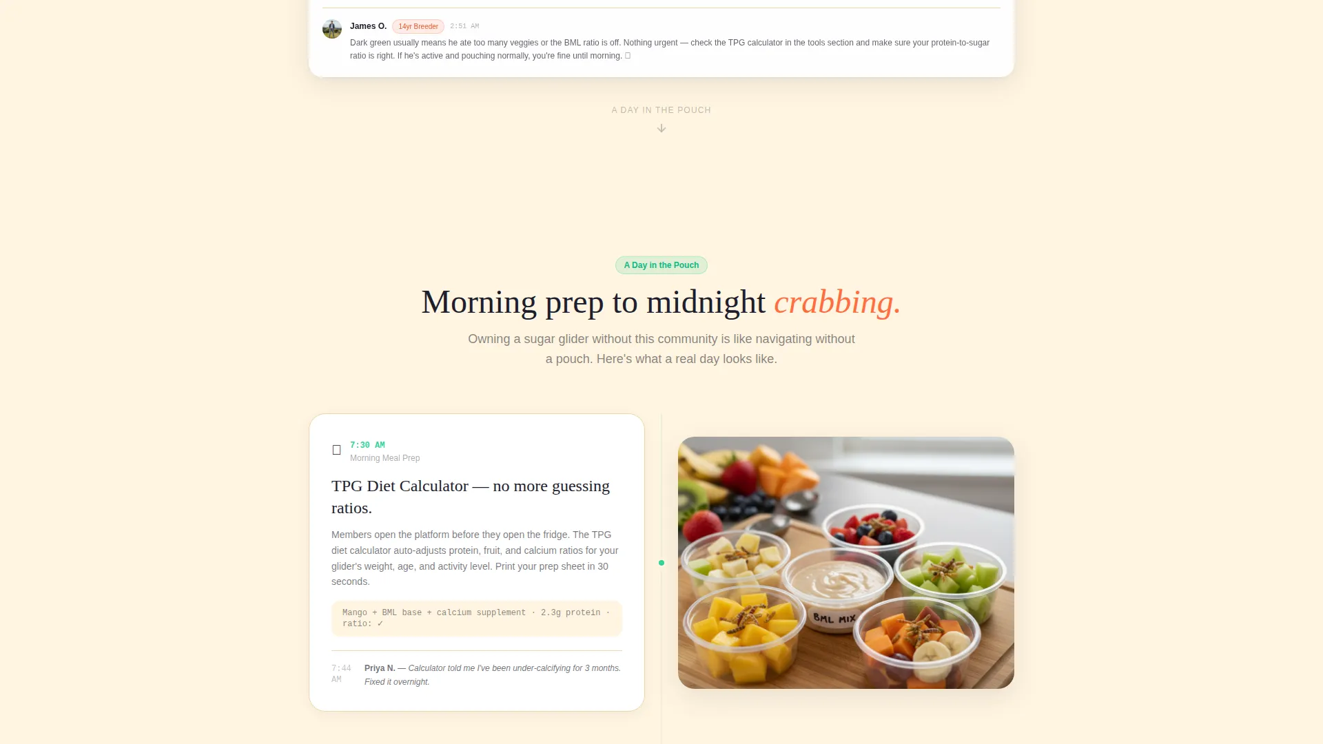 Sugar Glider Community Landing Page Template