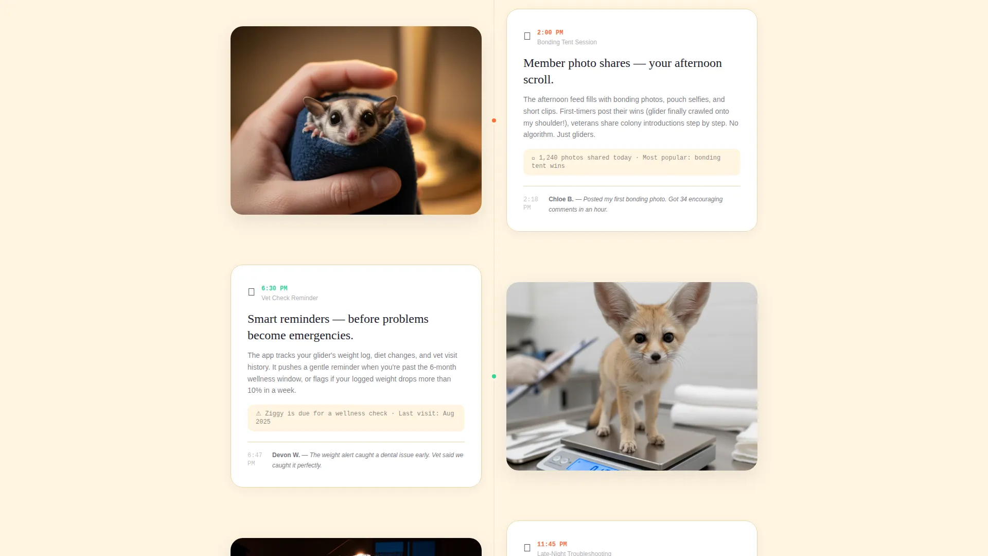 Sugar Glider Community Landing Page Template