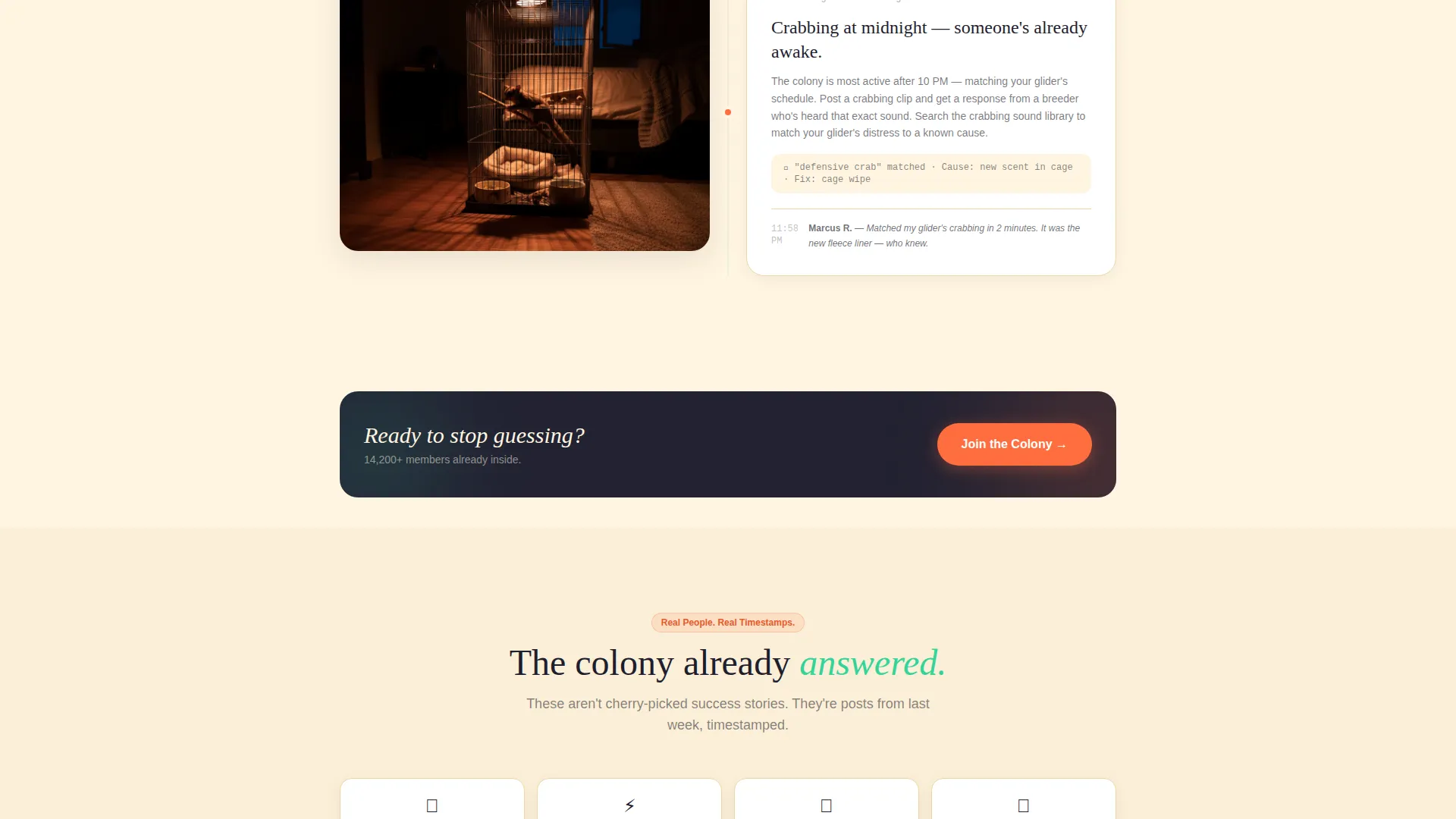 Sugar Glider Community Landing Page Template