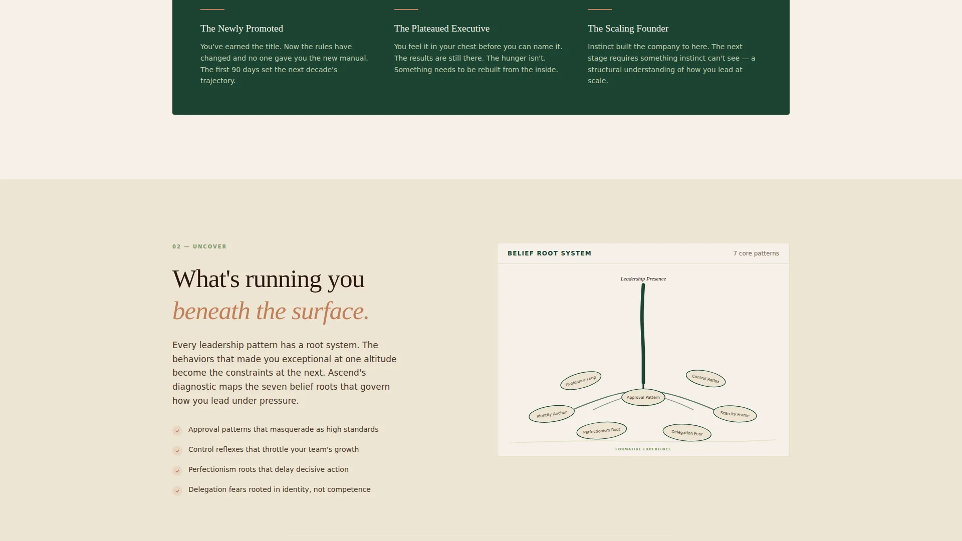 Executive Coaching Landing Page Template